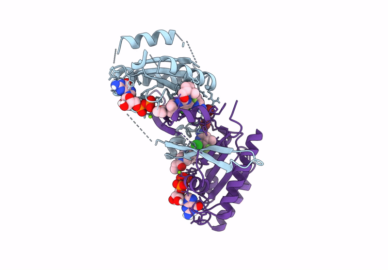 9C76 image