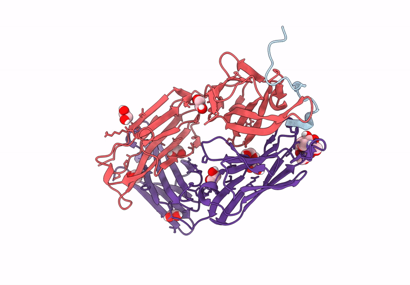 9C79 image