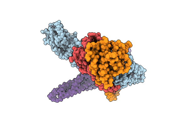9C82 image