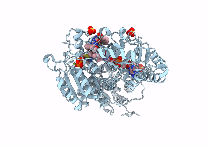 9C85 image