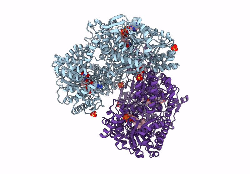 9C8C image