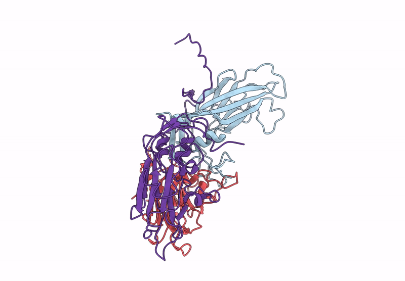 9C8H image