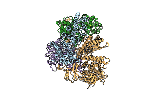 9C8V image