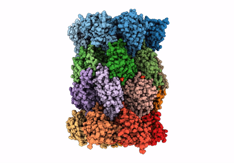 9C97 image