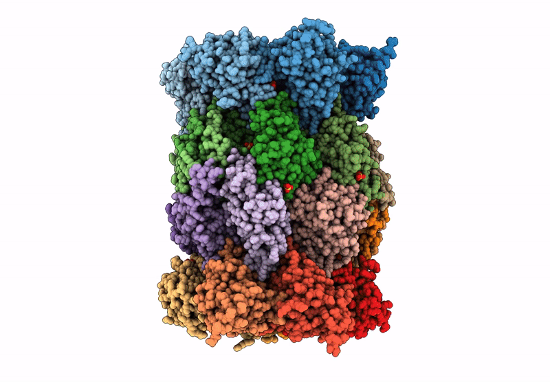 9C98 image