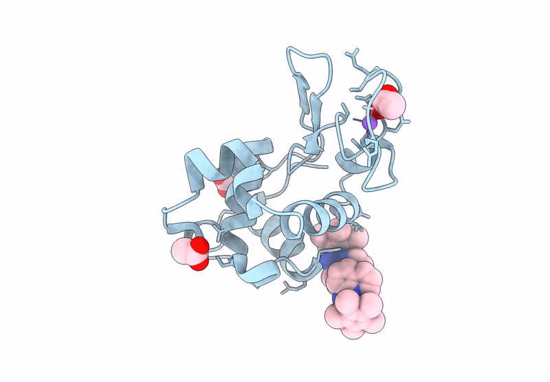 9C9H image