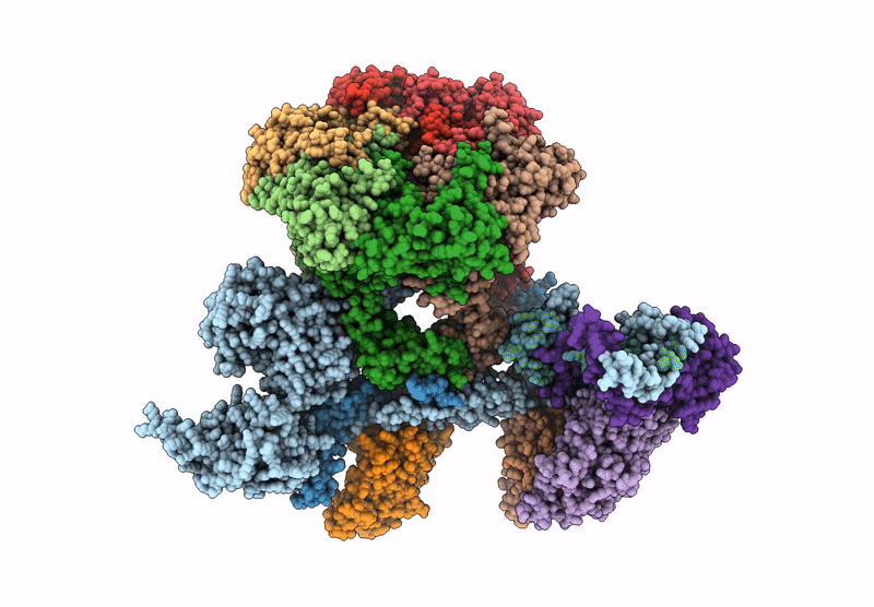 9CAC image