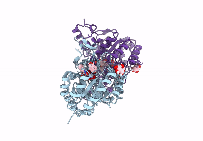9CB8 image