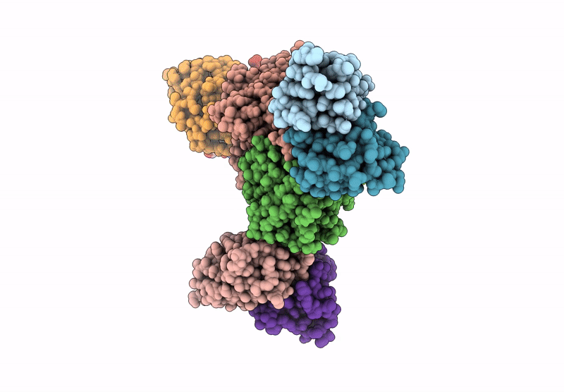 9CBN image