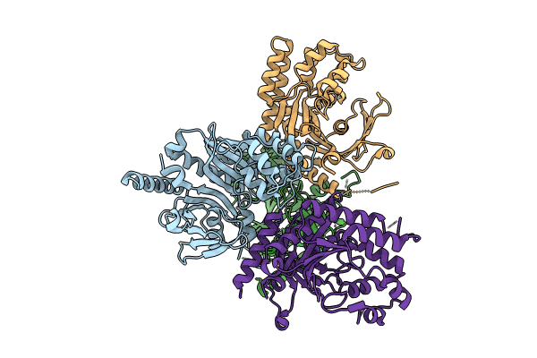 9CBS image