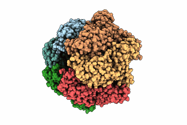 9CC0 image