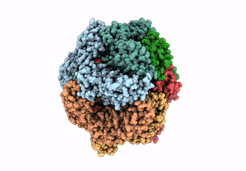 9CC1 image