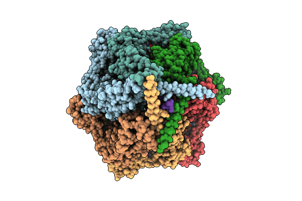 9CC3 image