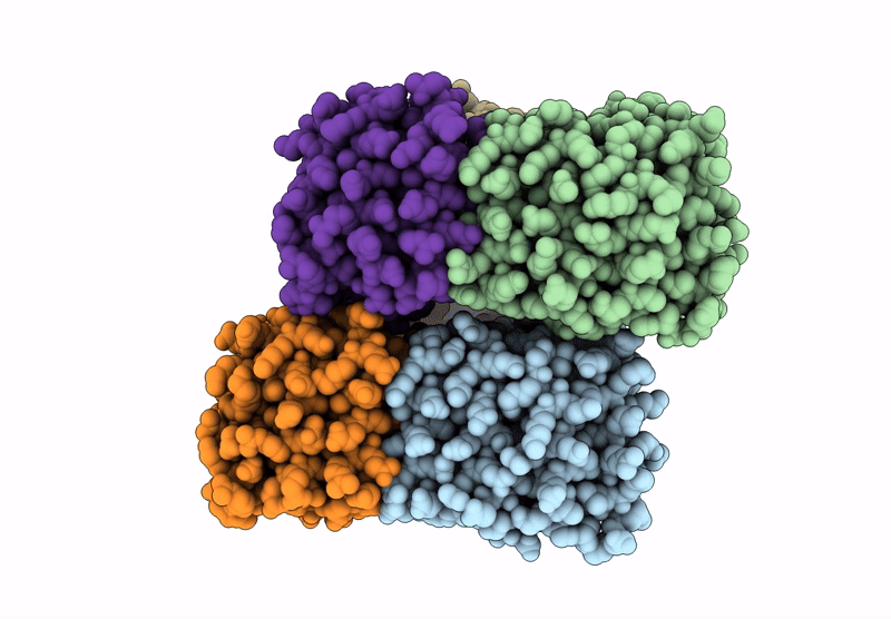 9CC4 image