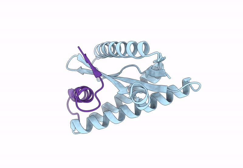 9CC5 image