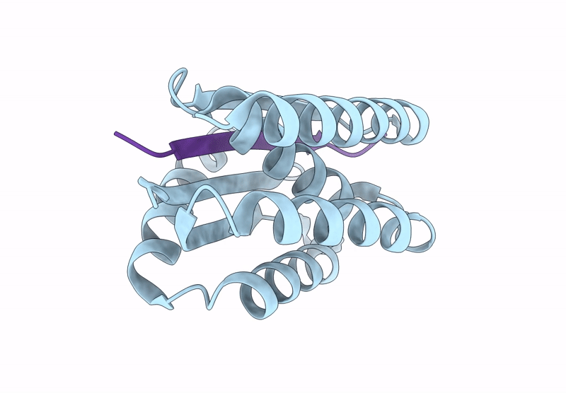 9CC6 image