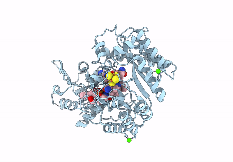9CCB image