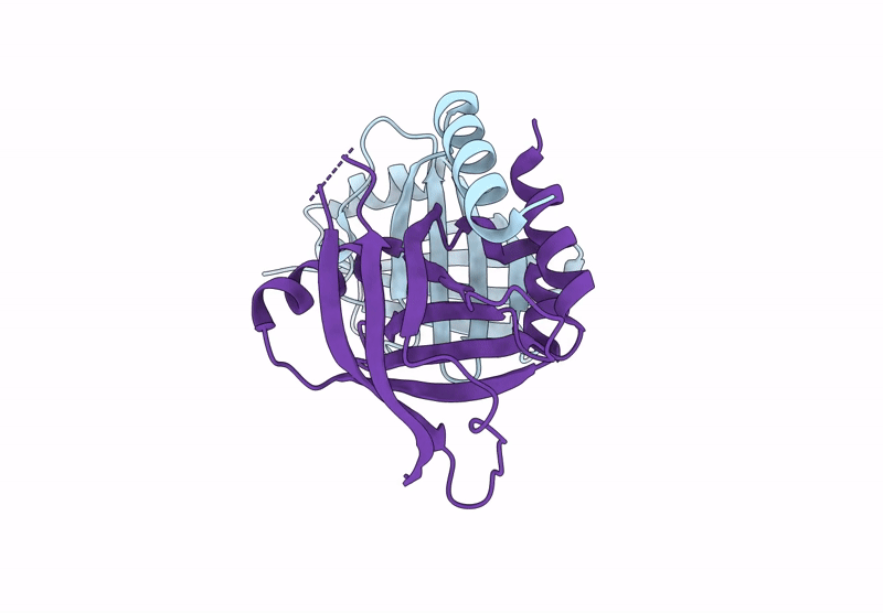 9CCV image