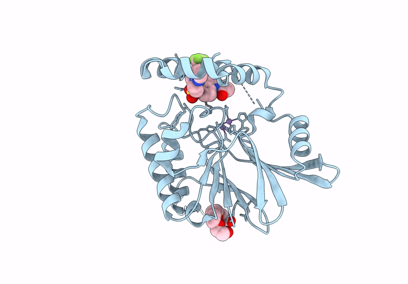 9CCX image