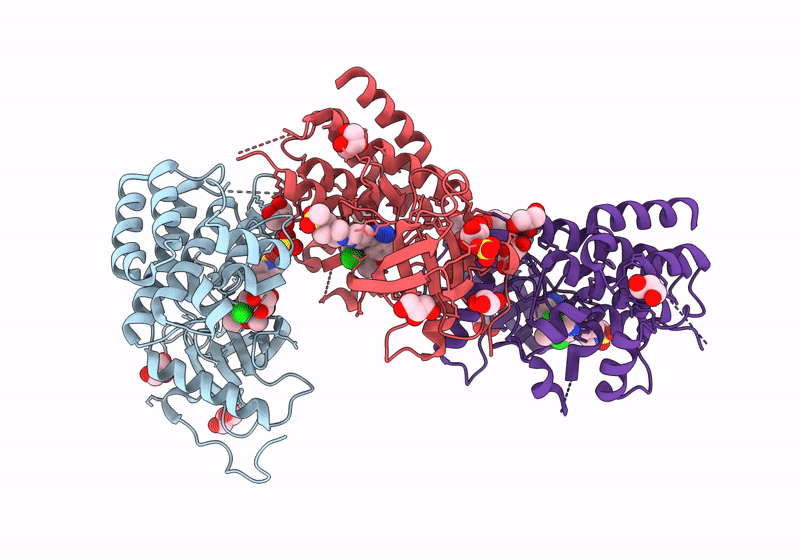 9CD7 image