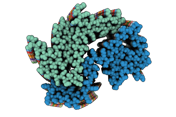 9CDA image