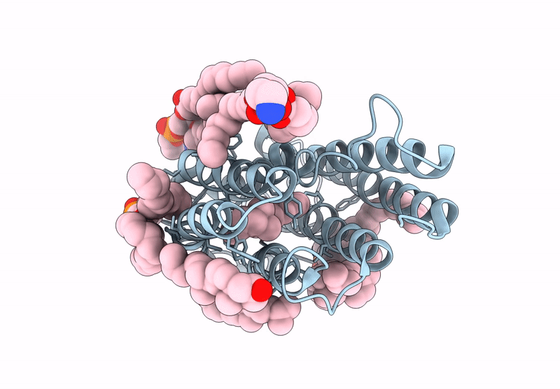 9CDC image