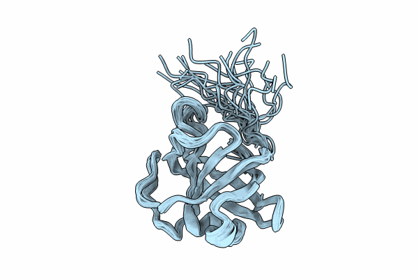 9CE9 image