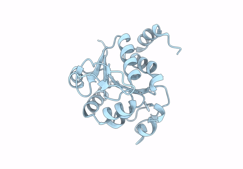 9CEI image