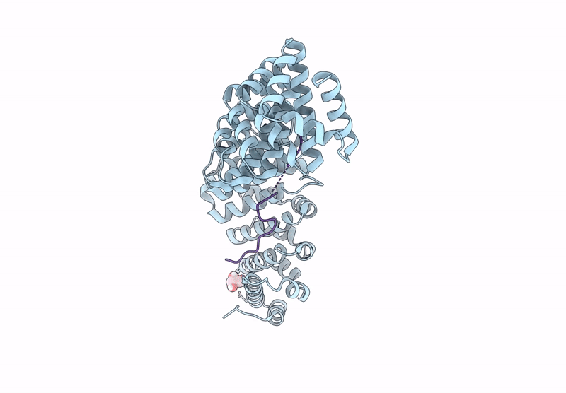9CFT image