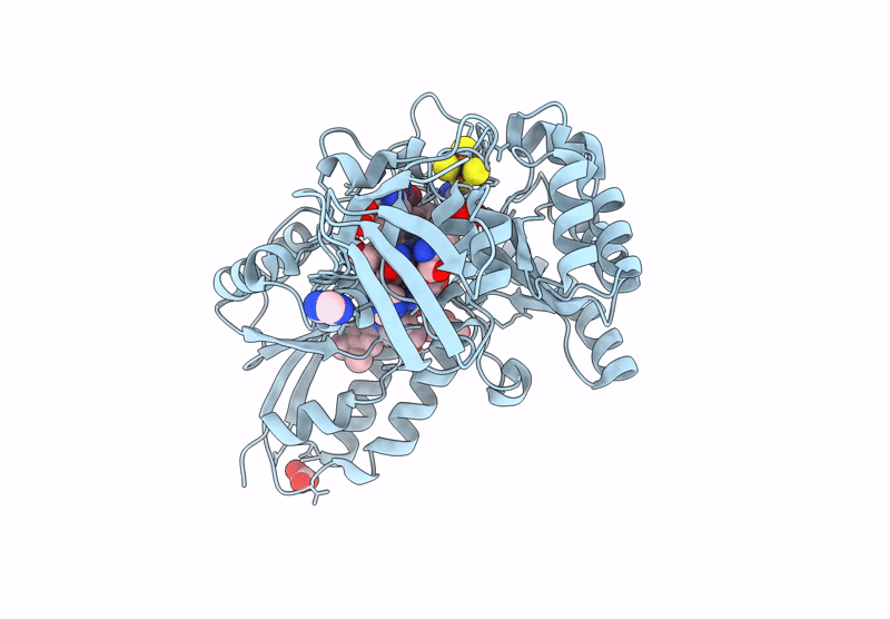 9CG1 image