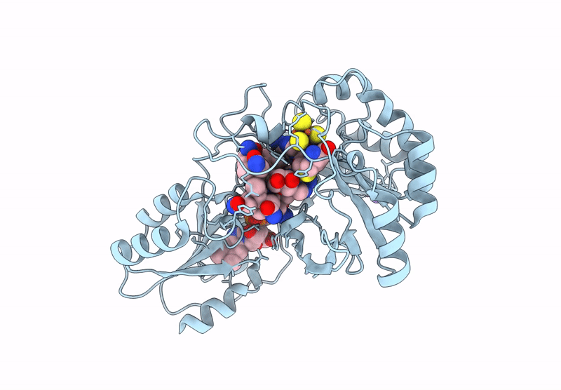 9CG2 image