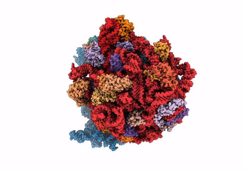 9CG6 image
