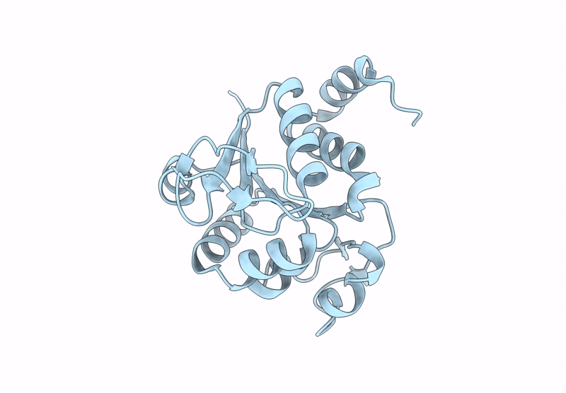 9CGD image