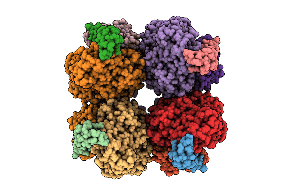9CI1 image