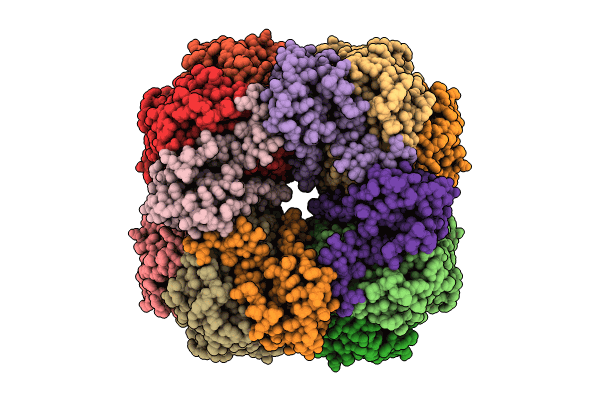 9CI2 image
