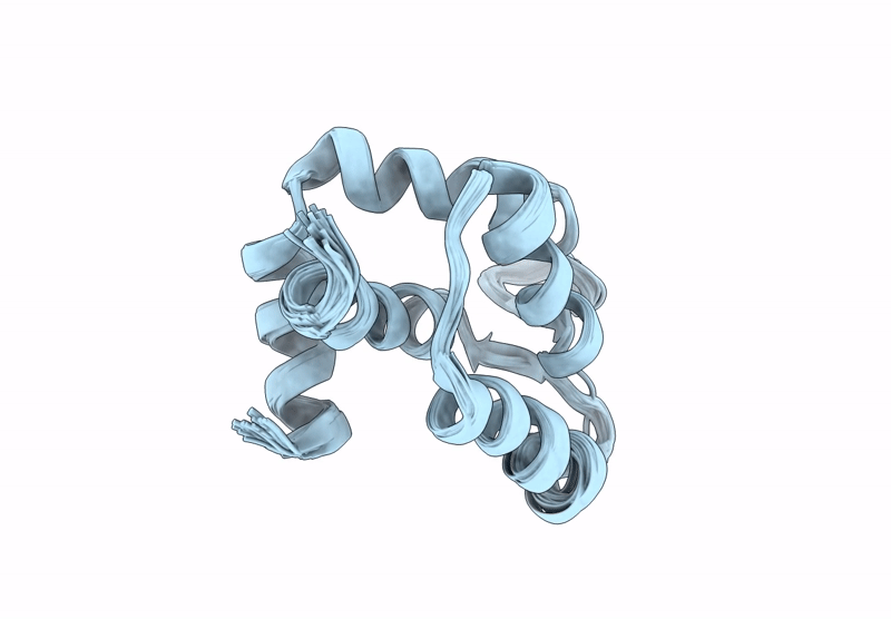 9CID image