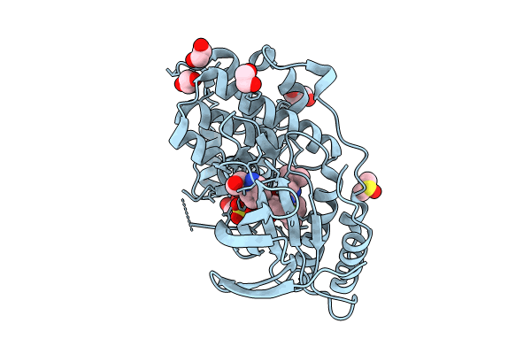 9CJ3 image