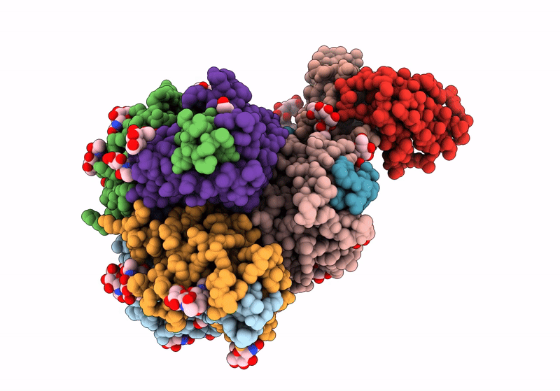 9CJ8 image