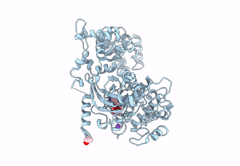 9CKP image