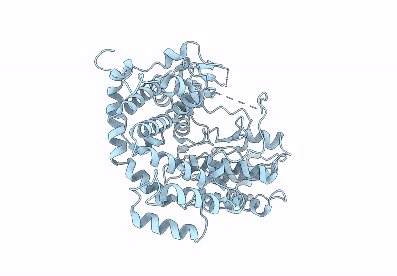 9CKQ image