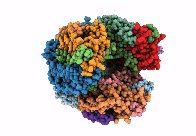 9CL5 image