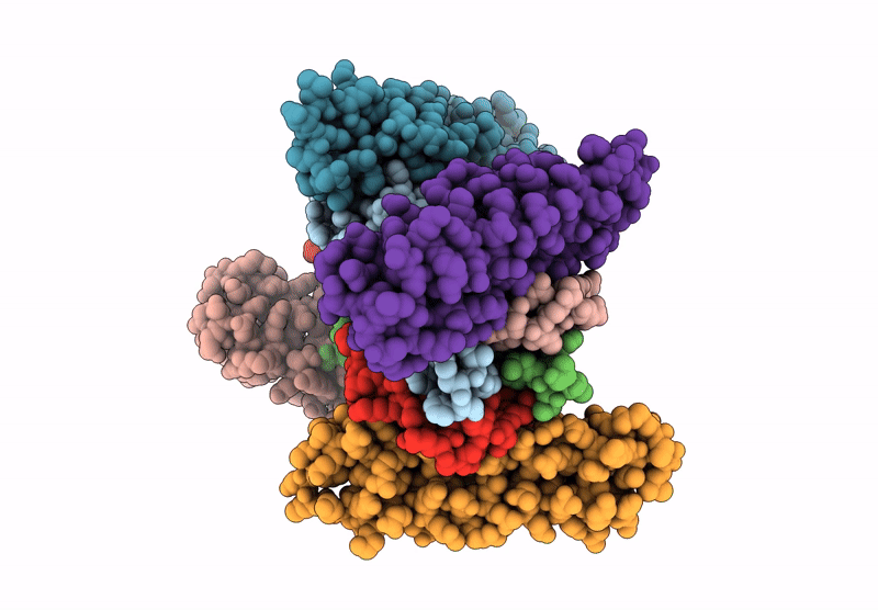 9CLB image