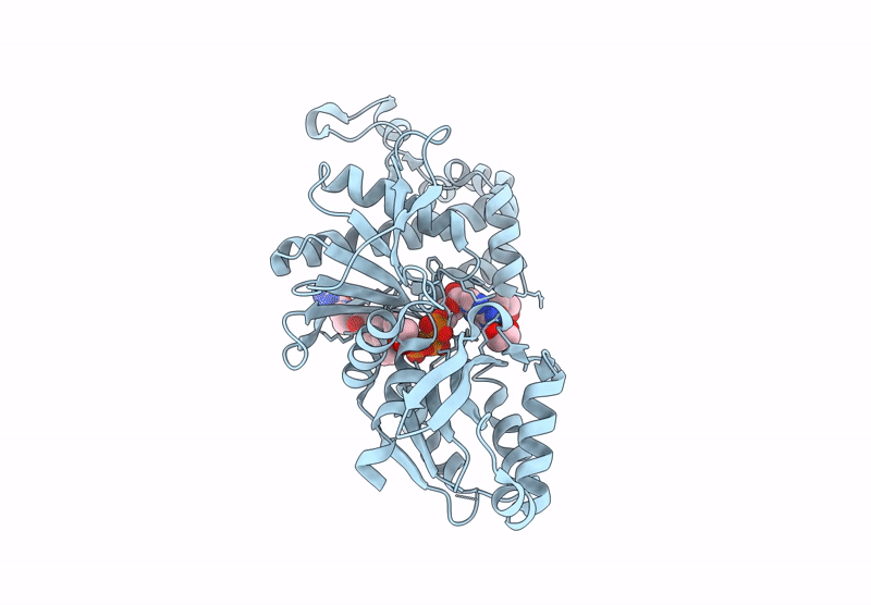 9CLQ image