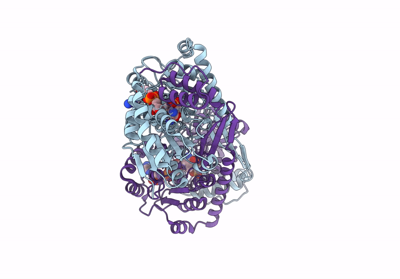9CP7 image