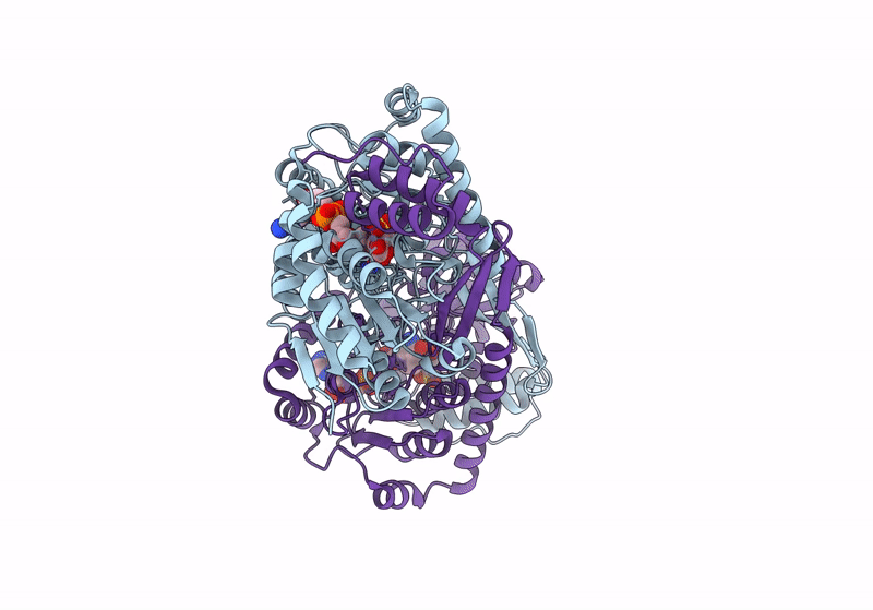 9CP8 image