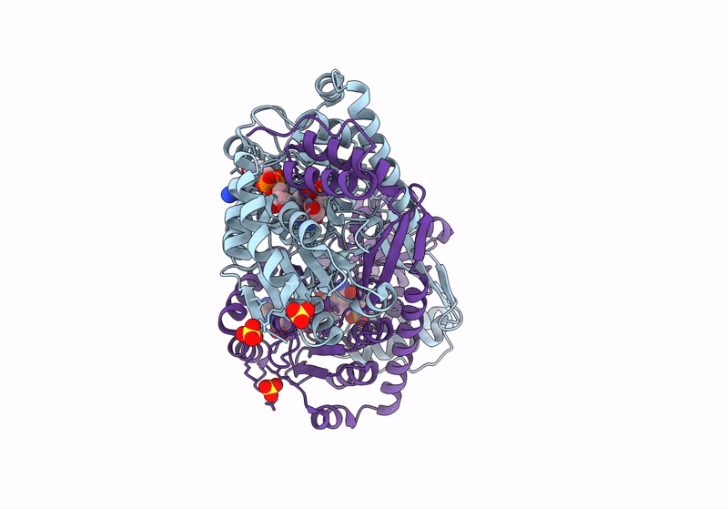9CP9 image