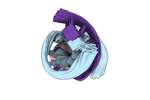 9CPD image