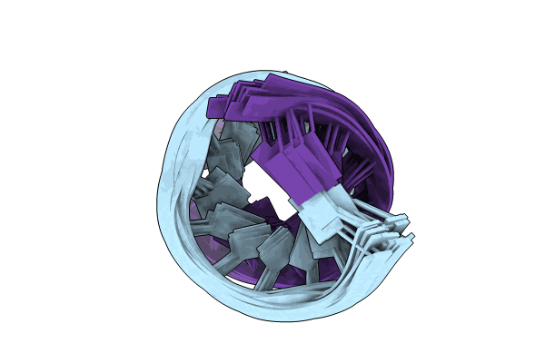9CPJ image