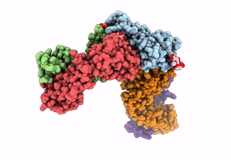 9CPP image