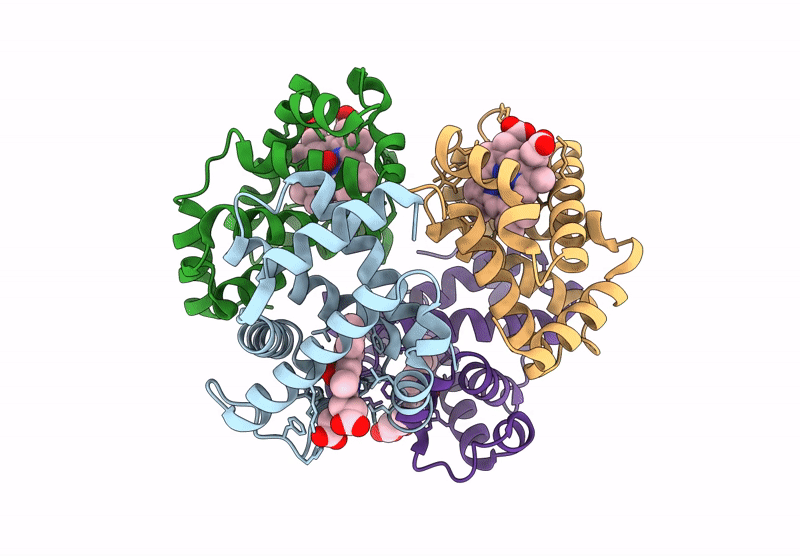 9CQM image